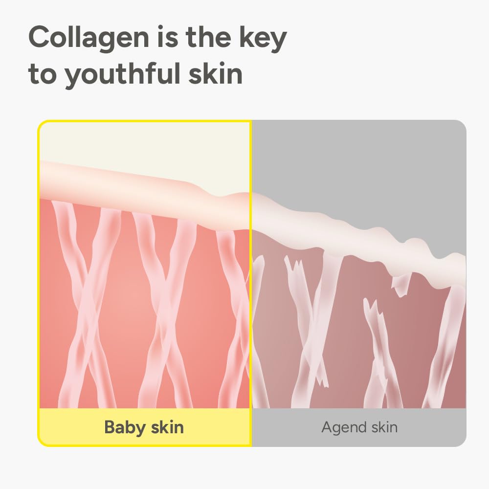 SUNGBOON EDITOR Fine Line Care Duo : Cream in Serum & Collagen Capsule Cream, Deep Wrinkle Care, Glass Skin, Elasticity for Aged Skin, Face Moisturizer, Gifts for Mom, Korean Skin Care