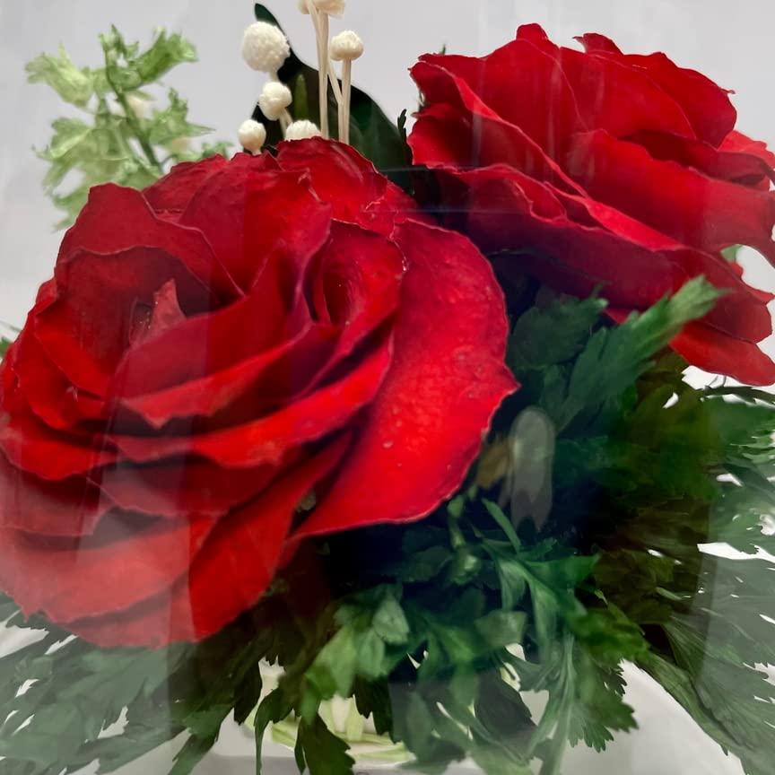 Fiora Flower | Long Lasting Real Roses in a Sealed Vase | Lasts up to 5 Years | Unique Present Gift