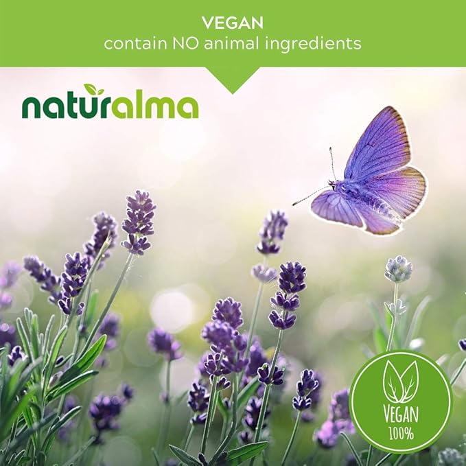 Naturalma Ginkgo (Ginkgo biloba) Leaf Alcohol-Free Tincture - 16.9 fl oz Liquid Extract in Drops - Herbal Supplement - Vegan
