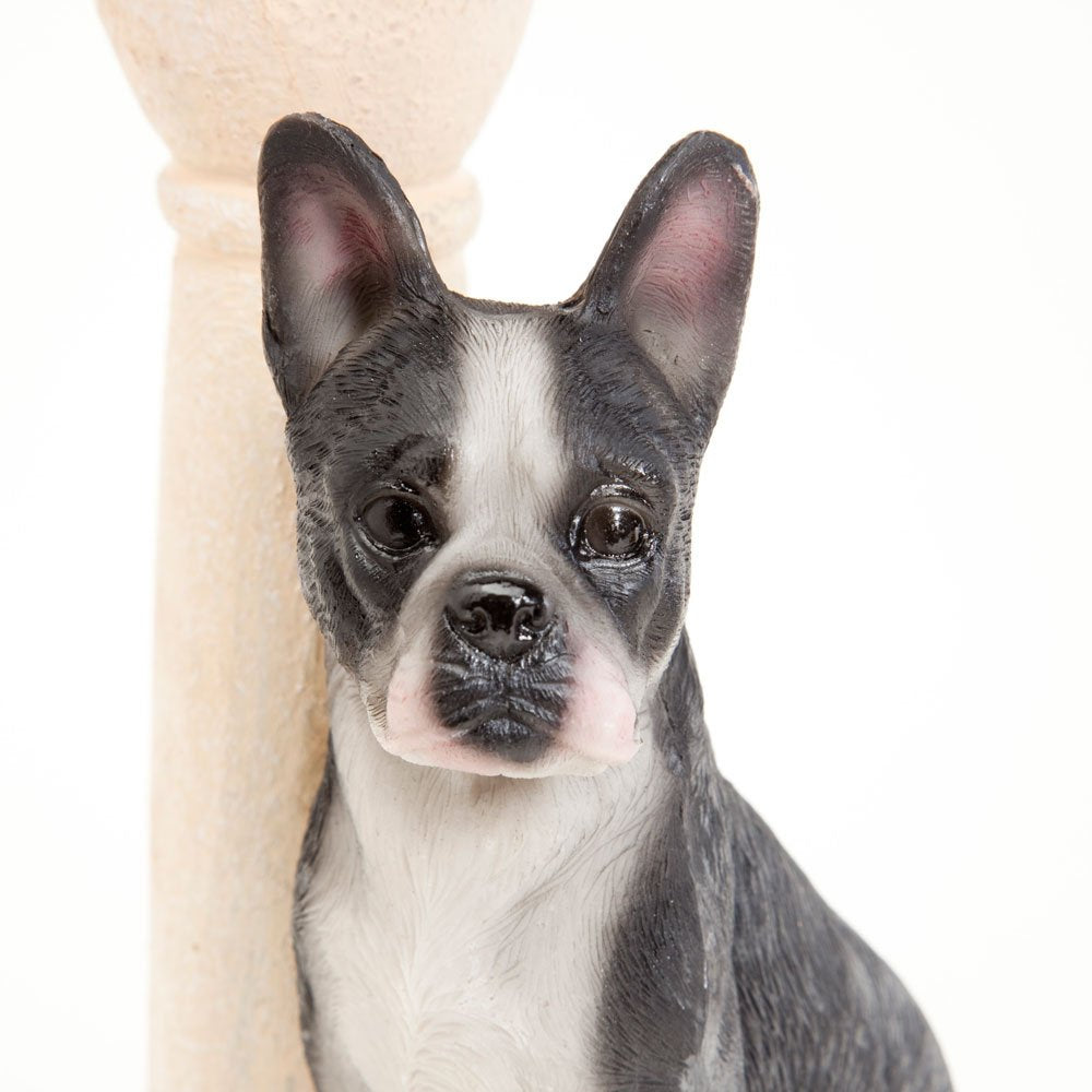 Bits and Pieces - Solar Dog Lantern-Solar Powered Garden Lantern - Resin Dog Sculpture with LED Light (Boston Terrier) - 13.5" Tall