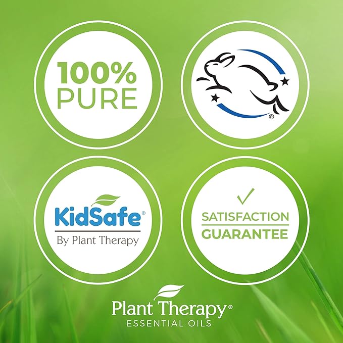 Plant Therapy Black Spruce Essential Oil 30 mL (1 oz) 100% Pure, Undiluted, Therapeutic Grade