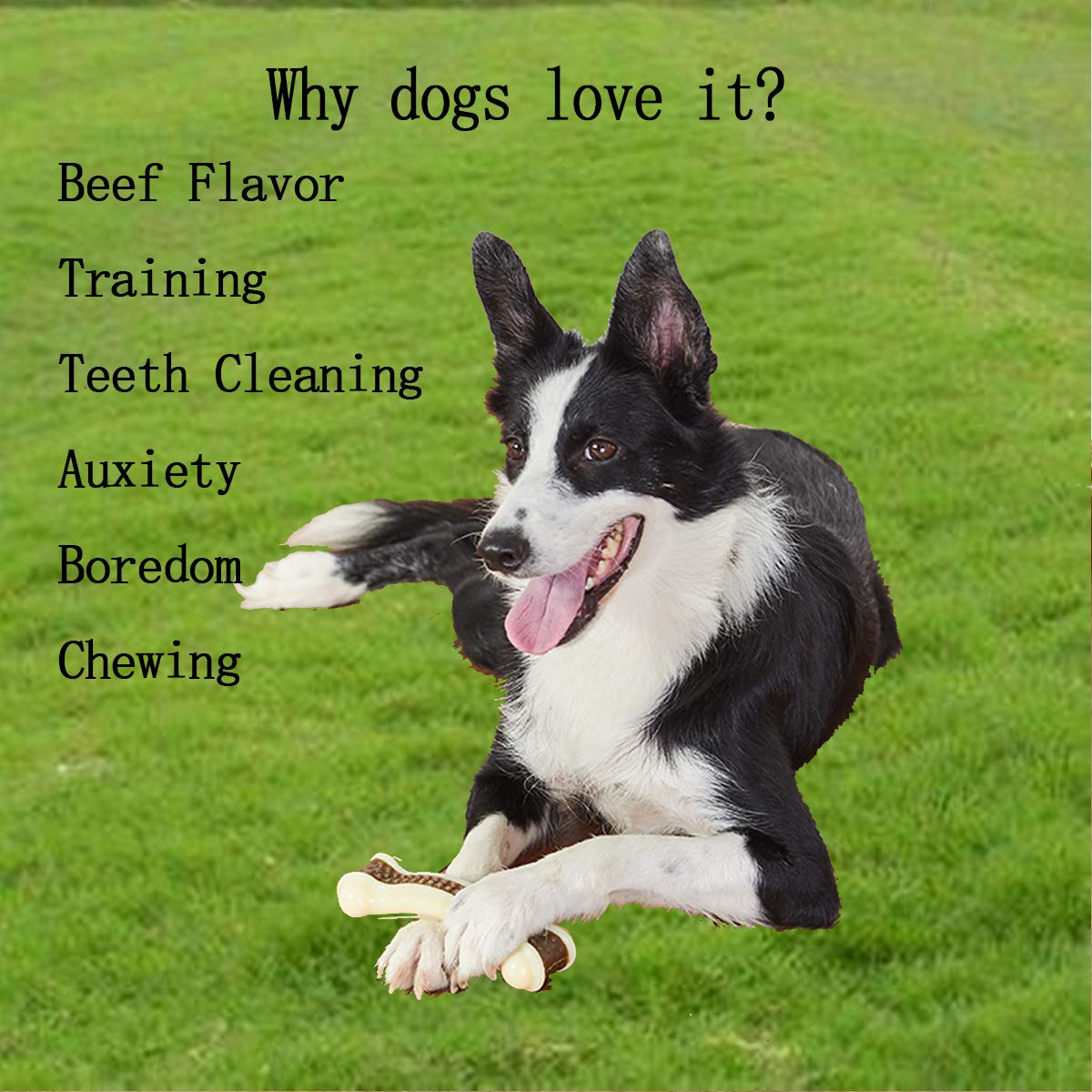 BETTEPROD Dog Chew Toys for Aggressive Chewers Large Breed,2 Pack Beef Flavor Indestructible Dog Teething Chew Toys Bones for Large/Medium/Small Puppies,Pet Toy with Nylon