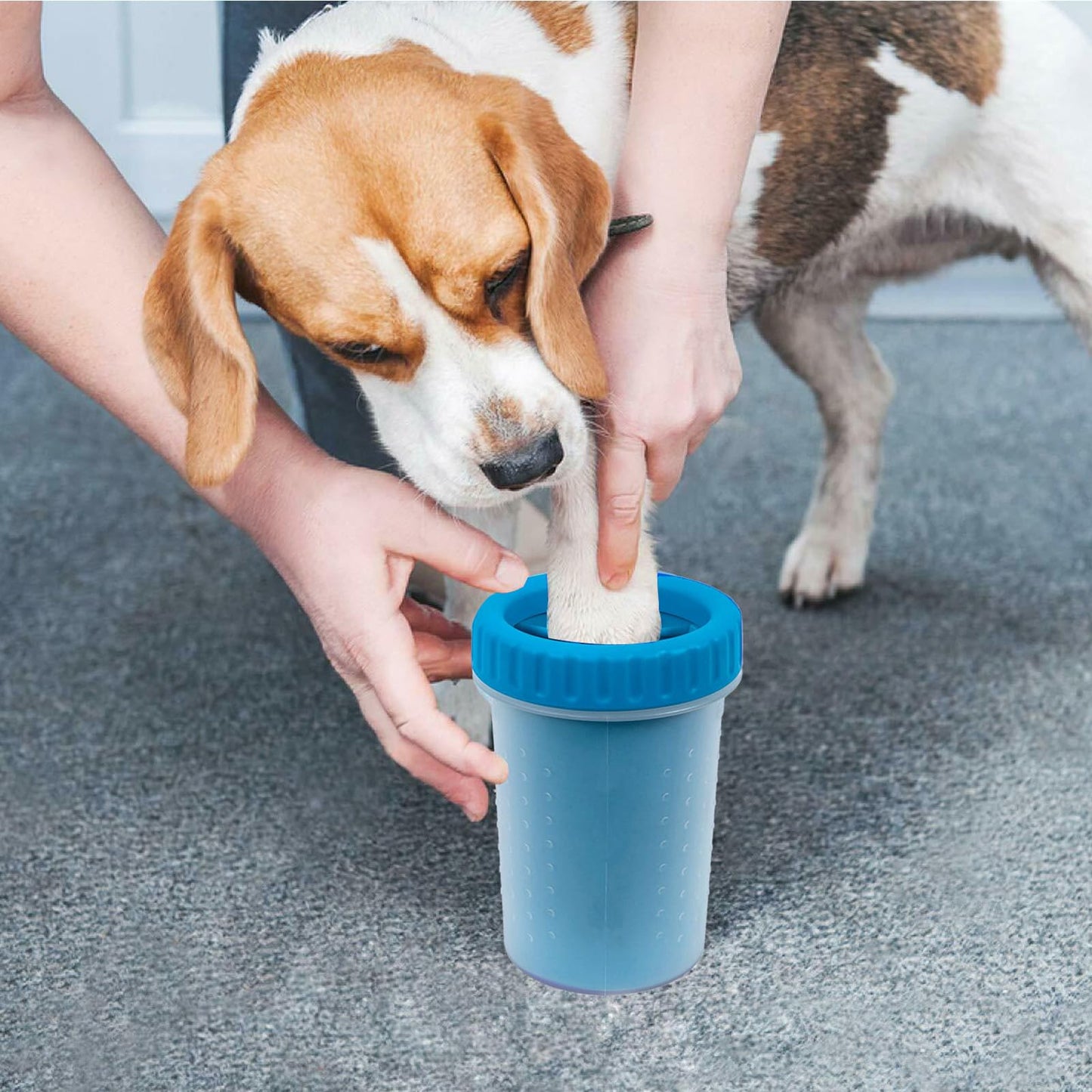 CAREFUNY 2 Pack Portable Dog Paw Cleaner, Washer, Buddy Muddy Pet Foot Cleaner for Medium Breed Dogs and Cats, Blue