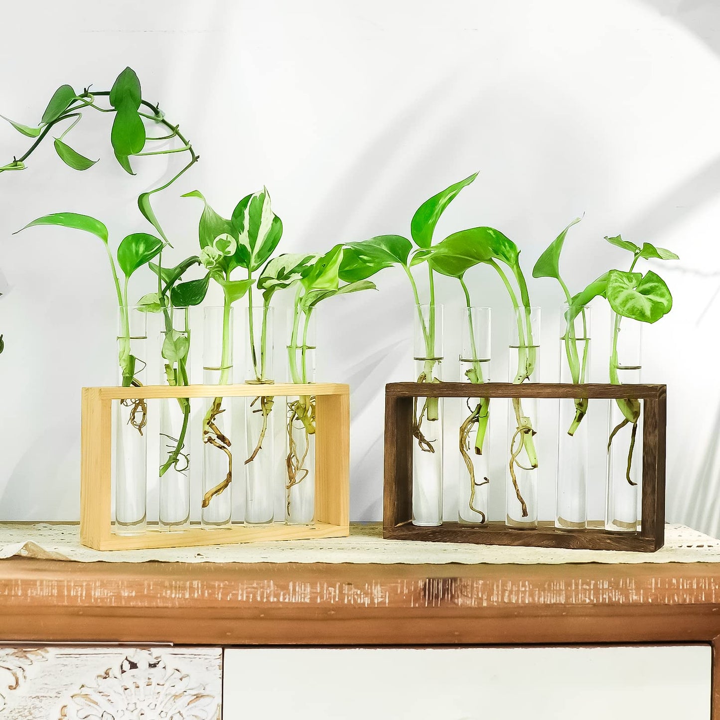 Ivolador Plant Propagation Station Terrariumin Wall Test Tube Vases Bud Tabletop Glass Wooden Stand with 5 Propagation Tubes for Propagating Hydroponic Plants Home Garden Wedding Decoration-Beige