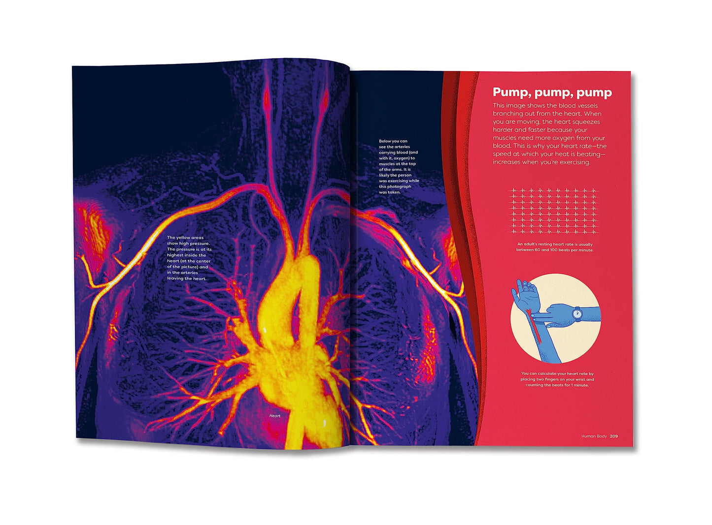 Britannica's Encyclopedia Infographica: 1,000s of Facts & Figures―about Earth, space, animals, the body, technology & more―Revealed in Pictures