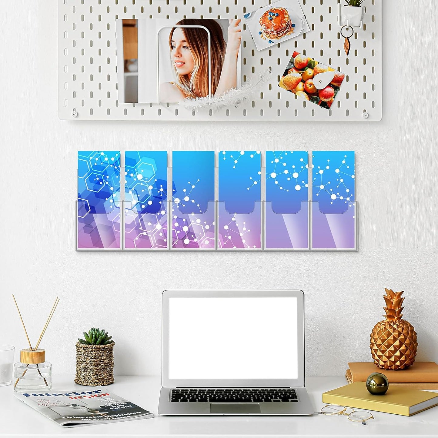 Sherr 2 Pcs Acrylic Brochure Holder Wall Mount, 4 x 9 Inches Clear Hanging Flyer Display Holder Plastic Pamphlet Stand with Nails for Magazine, Booklet, Card, Bookmark Display, 26.7 x 7.8 Inch