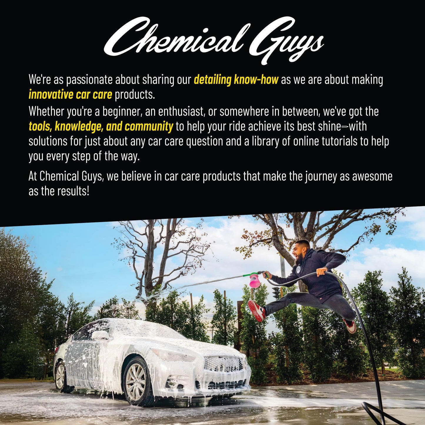 Chemical Guys ACC600 All In The Details Interior Detailing Brush Set (Great for Cars, Trucks, SUVs, RVs, & More)
